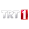trt 1 1.png